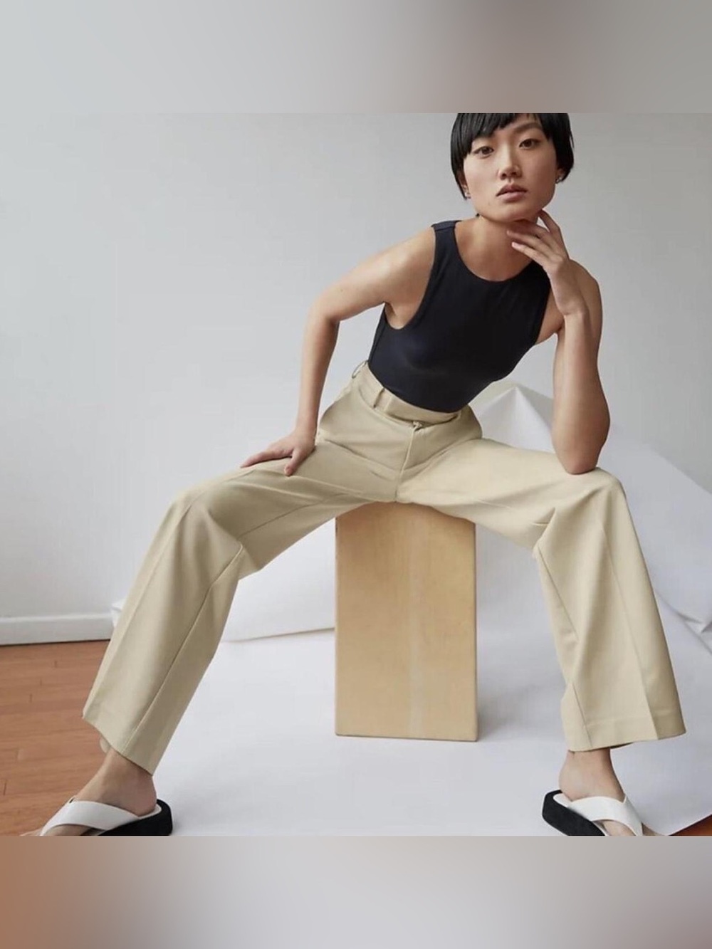 Aritzia Babaton Agency Wool Pants NWT size 2